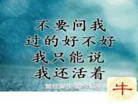 南通典迈建筑装饰工程有限公司