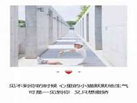 南通典迈建筑装饰工程有限公司