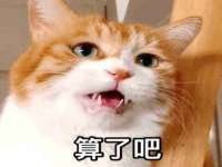 南通典迈建筑装饰工程有限公司