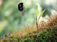 南通典迈建筑装饰工程有限公司