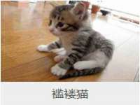 南通典迈建筑装饰工程有限公司