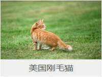 南通典迈建筑装饰工程有限公司