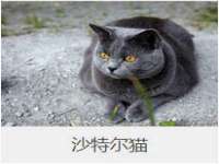 南通典迈建筑装饰工程有限公司