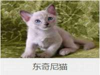 南通典迈建筑装饰工程有限公司