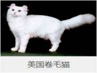 南通典迈建筑装饰工程有限公司