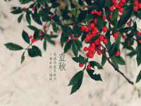 南通典迈建筑装饰工程有限公司
