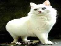 南通典迈建筑装饰工程有限公司
