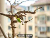 南通典迈建筑装饰工程有限公司