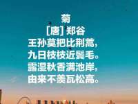 南通典迈建筑装饰工程有限公司