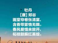 南通典迈建筑装饰工程有限公司