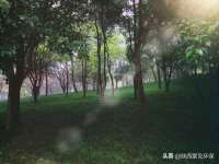 南通典迈建筑装饰工程有限公司