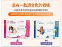 南通典迈建筑装饰工程有限公司