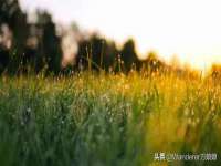 南通典迈建筑装饰工程有限公司