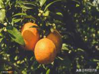 南通典迈建筑装饰工程有限公司