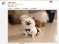南通典迈建筑装饰工程有限公司
