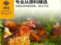 南通典迈建筑装饰工程有限公司