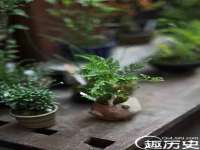 南通典迈建筑装饰工程有限公司