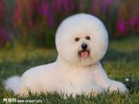 南通典迈建筑装饰工程有限公司