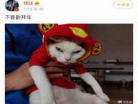 南通典迈建筑装饰工程有限公司